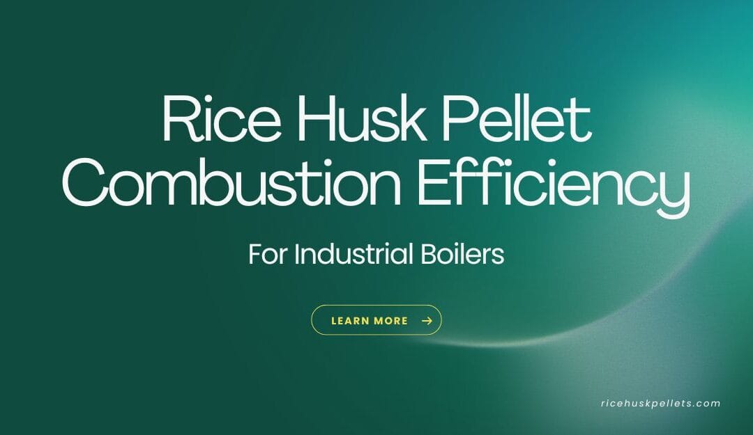Rice Husk Pellet Combustion Efficiency for Boilers