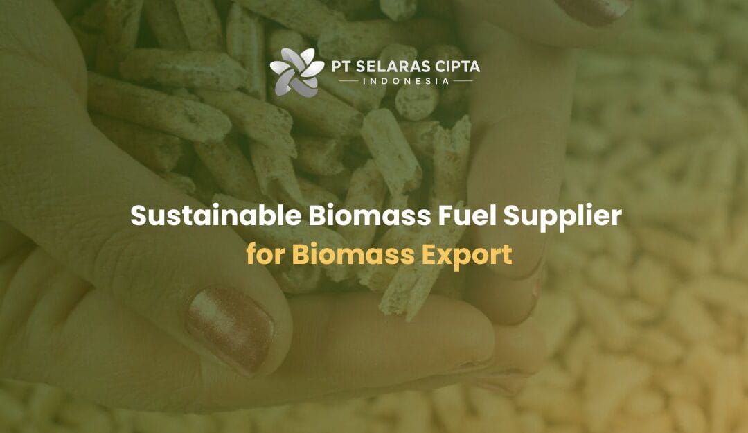 Sustainable Biomass Fuel Supplier for Biomass Export