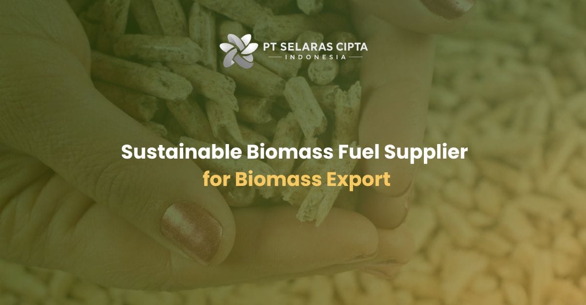 Sustainable Biomass Fuel Supplier for Biomass Export Sustainable Biomass Fuel Supplier for Biomass Export