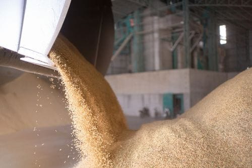 indonesia rice husk pellet producer
